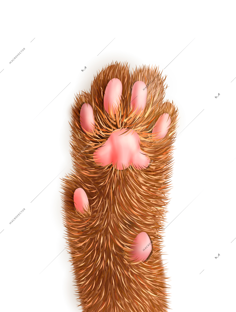 Realistic icon of red cat paw on white background vector illustration