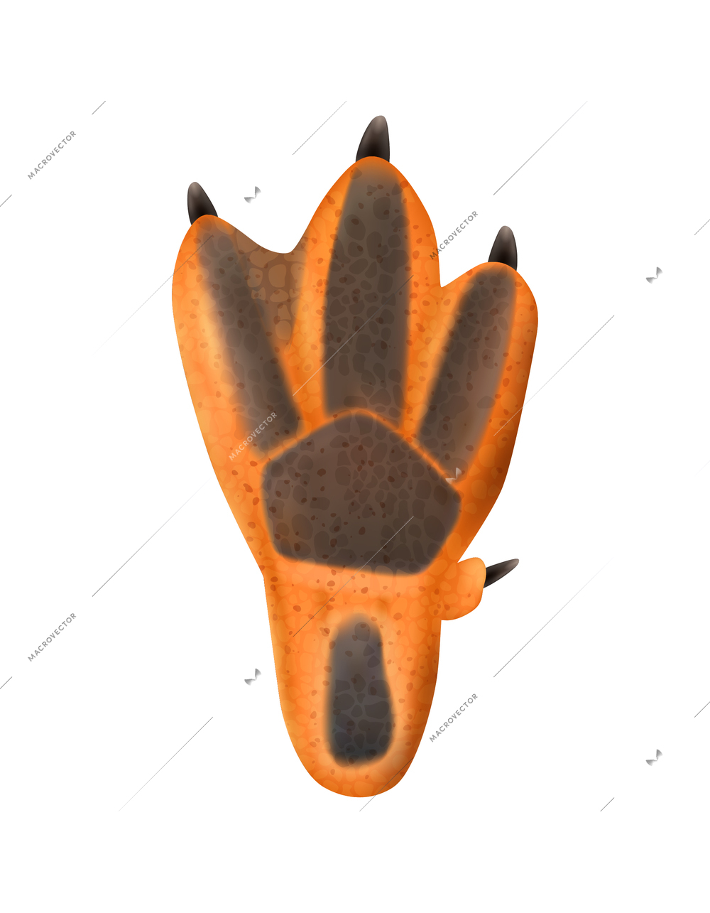 Realistic orange penguin paw icon on white background vector illustration