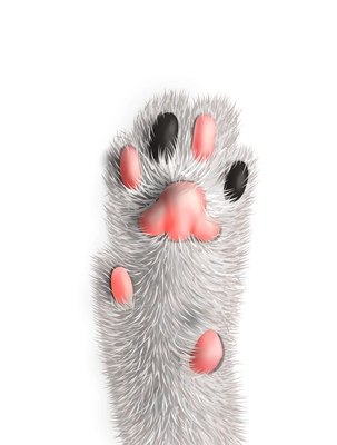 Cat paw with pink pads bottom view realistic vector illustration