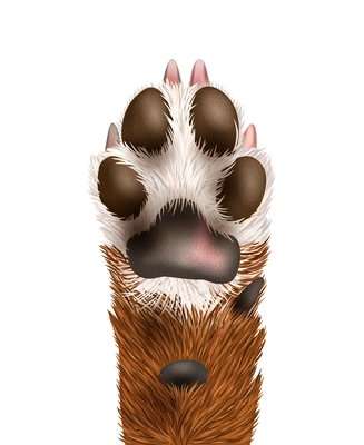 Realistic icon of bottom view dog or puppy paw vector illustration