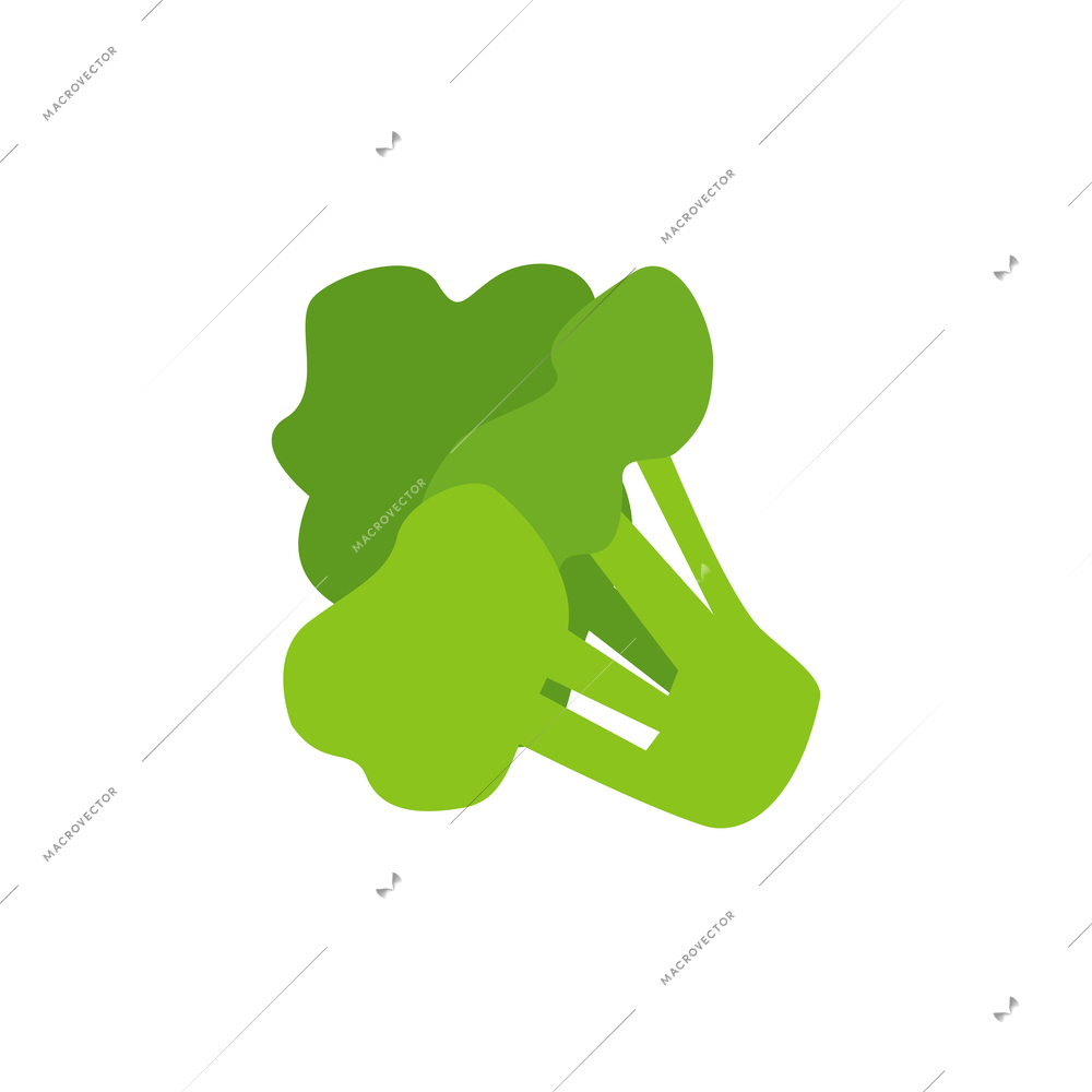 Flat icon of green broccoli on white background vector illustration