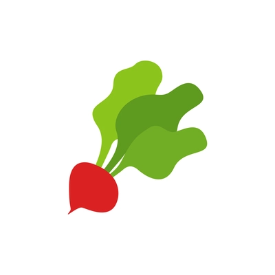 Whole red radish with green leaves on white background flat vector illustration