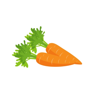 Two orange ripe carrots with tops flat vector illustration