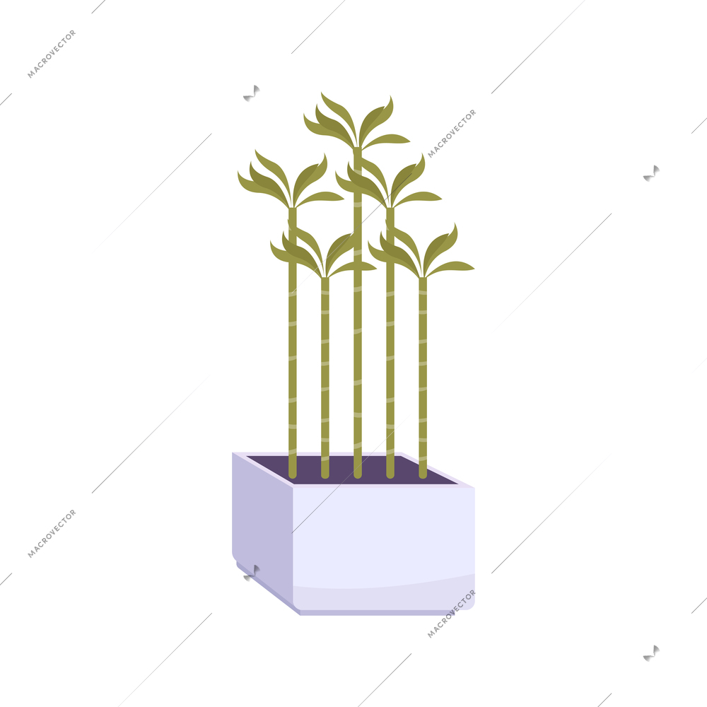 Green house plants in white pot flat vector illustration