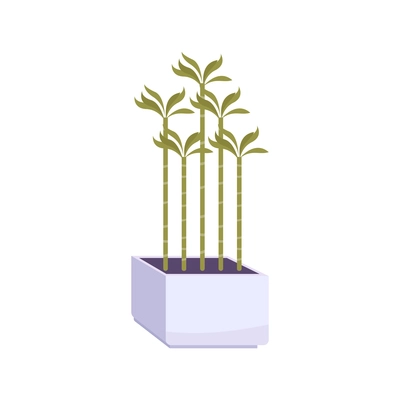 Green house plants in white pot flat vector illustration
