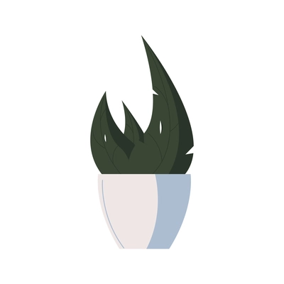 Green house plant in white pot flat icon vector illustration