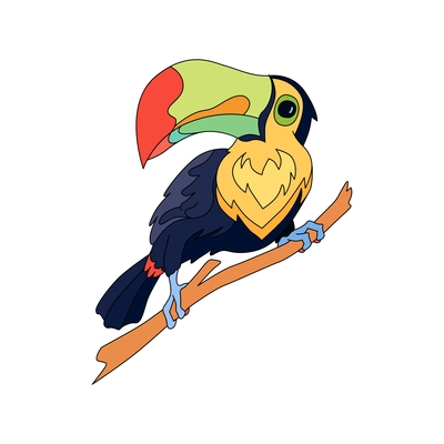 Colored tropical hand drawn toucan bird on white background vector illustration
