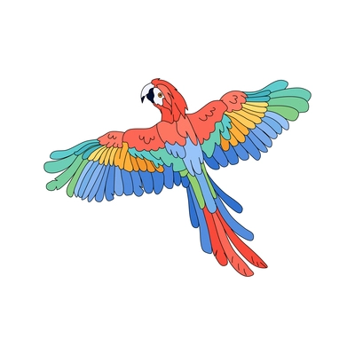Drawn flying macaw parrot on white background vector illustration