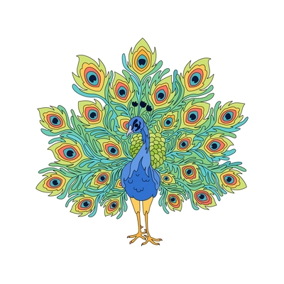 Hand drawn peacock with beautiful tail vector illustration