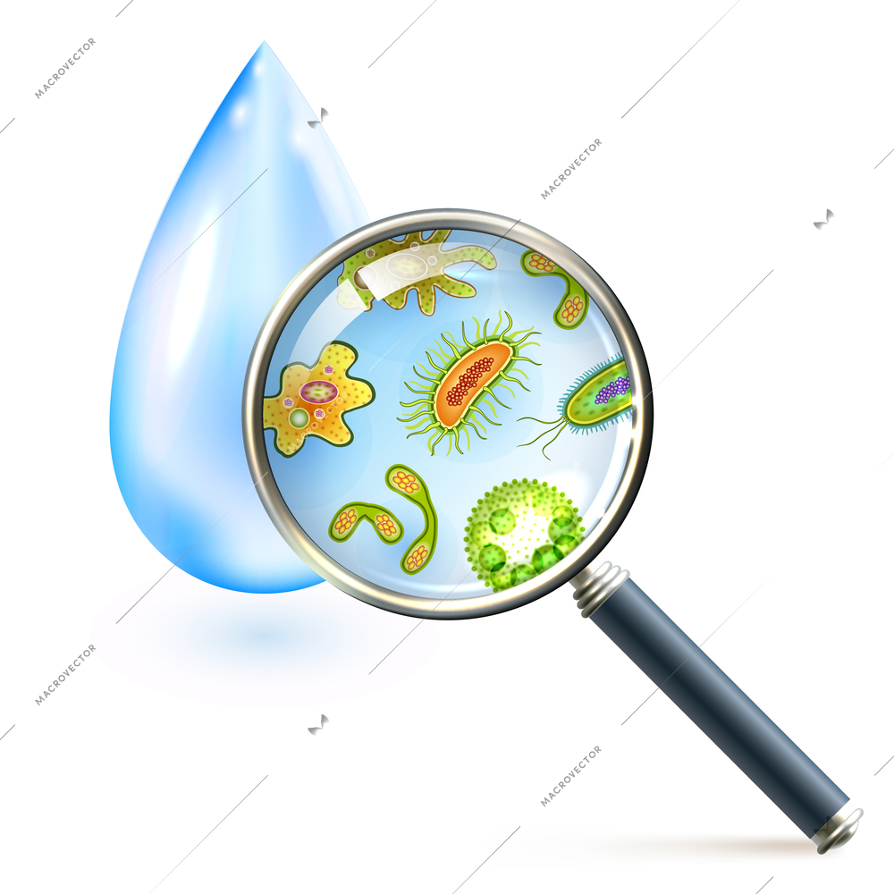 Magnifier and bacteria and virus cells in water drop vector illustration