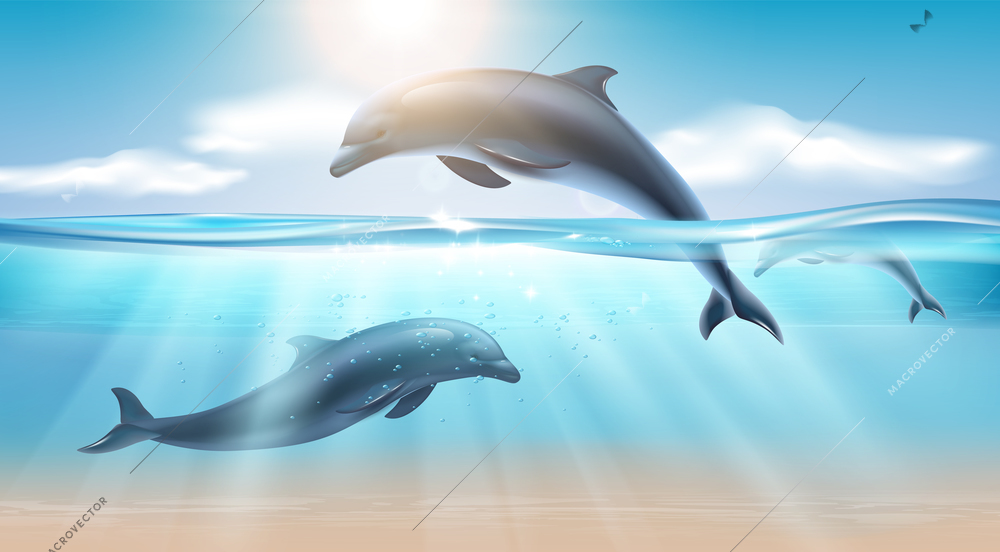 Nautical realistic background with jumping dolphin in sea water illuminated by sunlight vector illustration