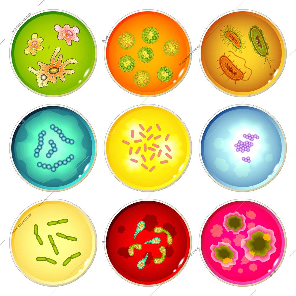 Petri dishes with bacteria and germs colonies set isolated vector illustration.