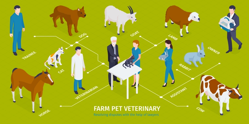 Isometric veterinary infographics with editable text captions characters of medical workers with masters pets and animals vector illustration