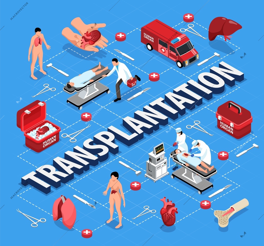 Isometric donor human organs flowchart composition with editable text and isolated icons of organs with doctors vector illustration