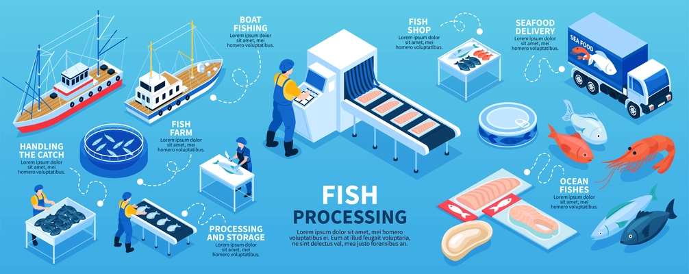 Fish processing isometric infographics scheme from boat fishing and fish farm to seafood delivery in shop vector illustration