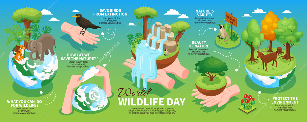 World wildlife day horizontal infographics layout with information about protection of environment and wild animals isometric vector illustration