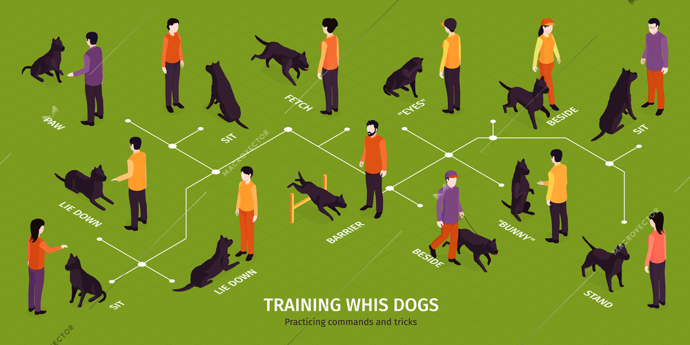 Isometric dog training infographics with flowchart of dogs exercises with characters of their masters and text vector illustration