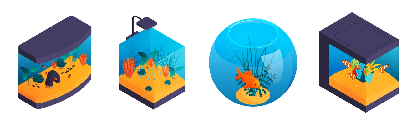 Isometric aquaruim set with four isolated aquariums of different shape with fishes and aquascaping elements seaweed vector illustration