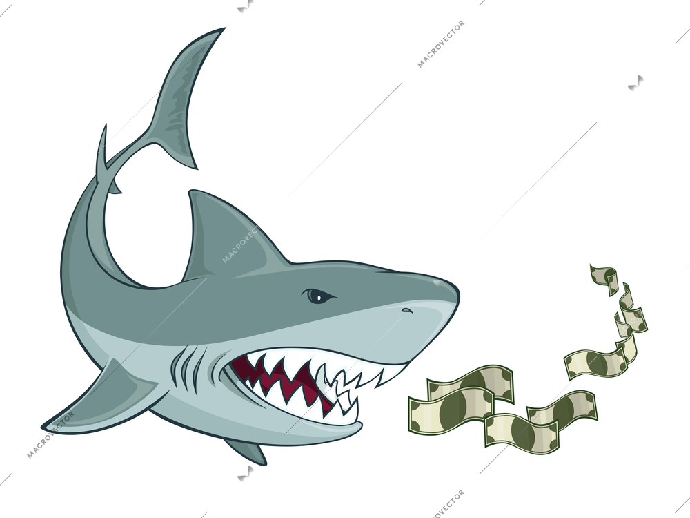 Business shark with dollars isolated vector illustration