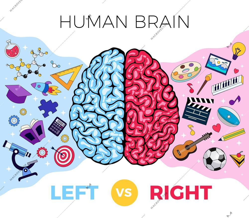 Human brain anatomy left right functions composition with editable text and icons of creativity and knowledge vector illustration