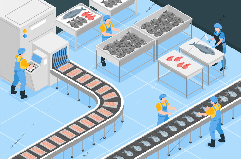Fishing production isometric background with workers involved in hand processing and sorting on conveyor vector illustration