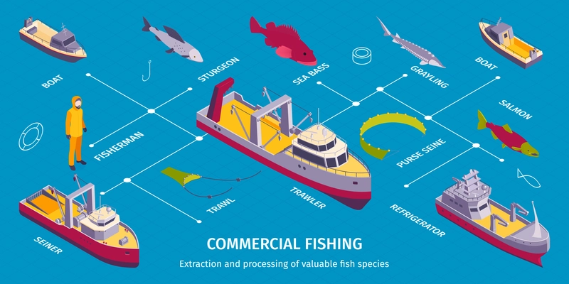 Isometric commercial fishing infographics with flowchart of isolated boat images fish trawl and editable text captions vector illustration