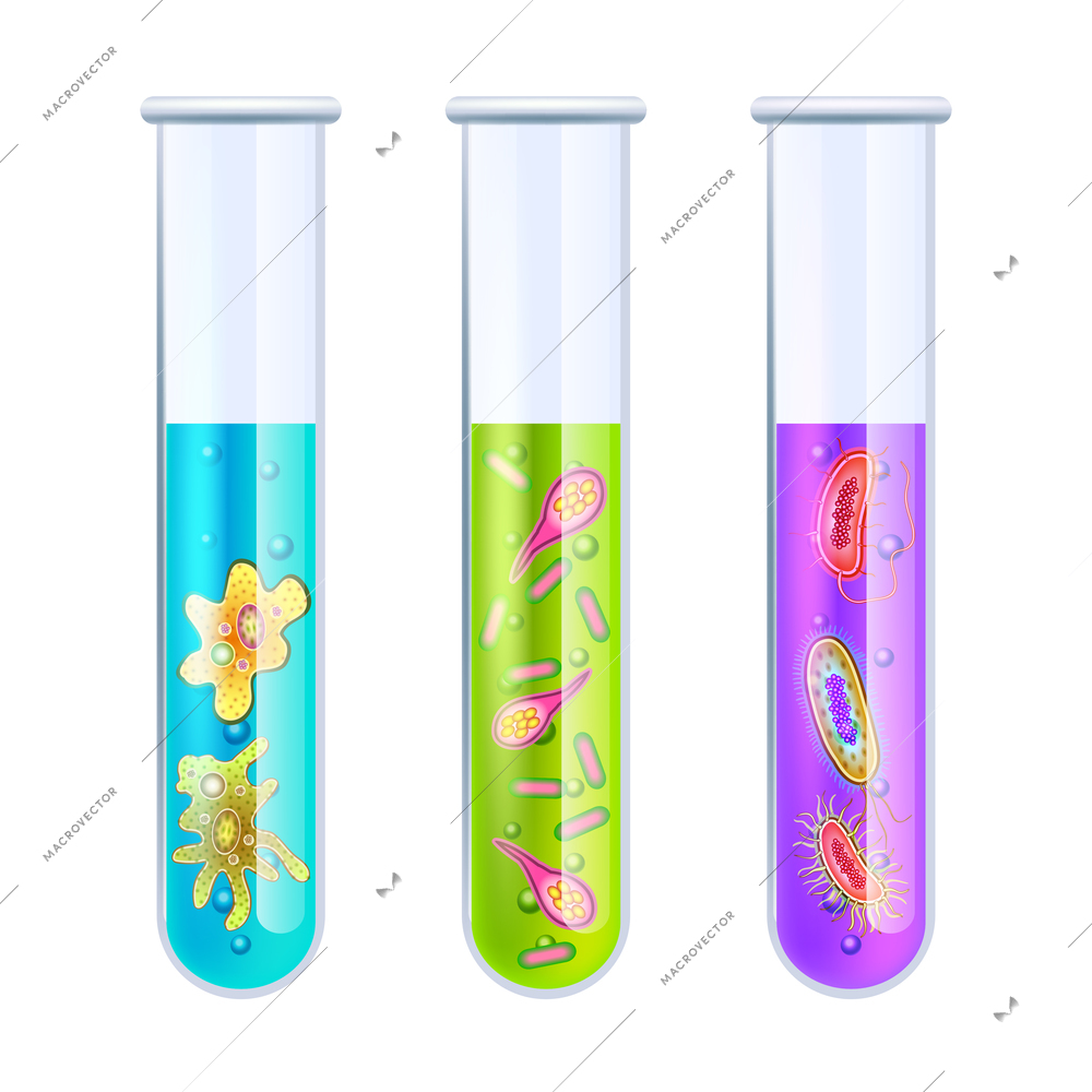 Viruses and bacteria in glass test tube set isolated vector illustration