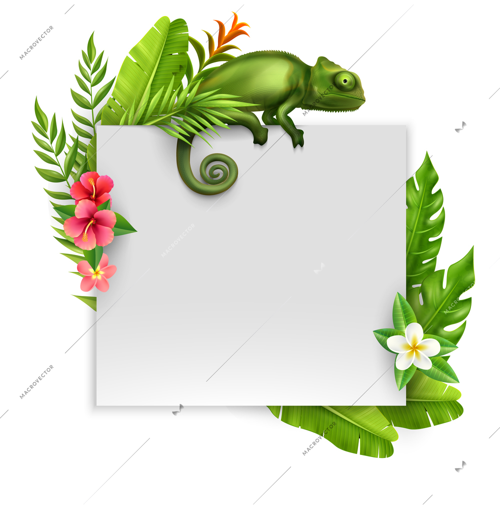 Colorful realistic composition with empty paper sheet framed by tropical plants and flowers and sitting chameleon