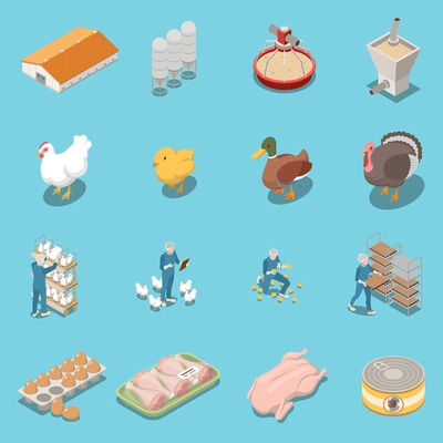 Poultry farm isometric icons set of equipment for feeding hen duck  turkey trays with chicken legs and eggs and canned food vector illustration