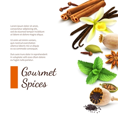 Confectionery gourmet spices food product decorative elements on white background vector illustration