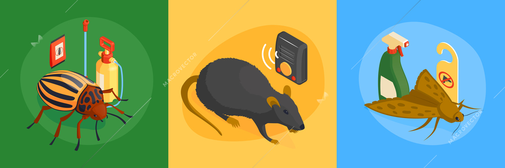 Isometric pest control design concept with square compositions set of vermins and destroying products chemical detergents vector illustration