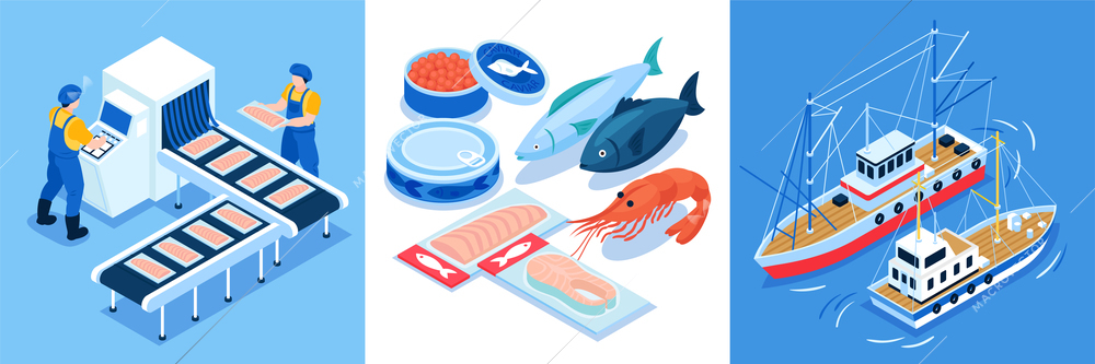 Fishing production design concept set of three square compositions with vessels conveyor and seafood isometric icons vector illustration