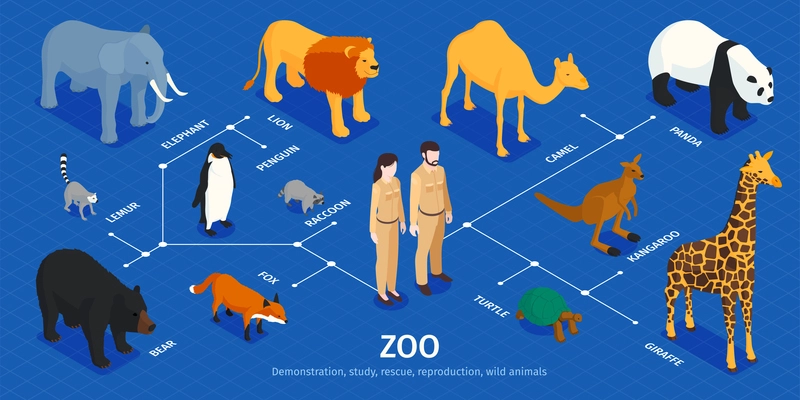 Isometric zoo infographics with isolated human characters exotic animals of various climate zones and text captions vector illustration