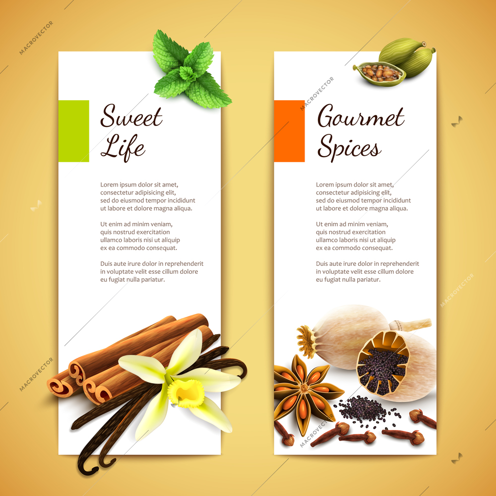 Gourmet spices sweet life vertical banners set isolated vector illustration