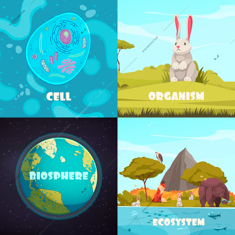 Biological hierarchy 2x2 cartoon compositions of cell organism ecosystem and biosphere vector illustration