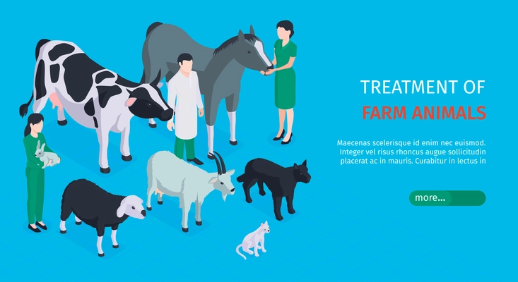 Treatment of farm animals horizontal web banner with veterinarians who care for pets  isometric vector illustration