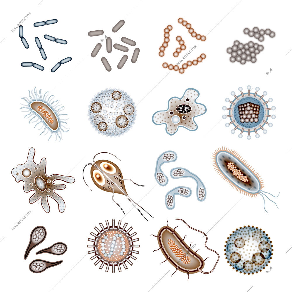 Bacteria virus and germs epidemic bacillus cells icons isolated vector illustration