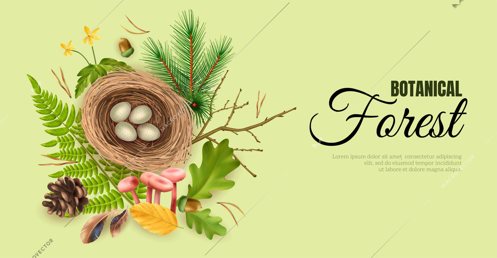 Realistic botanical horizontal banner with editable ornate text and birds nest with eggs and leaf images vector illustration