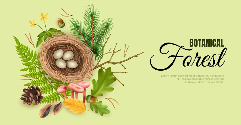 Realistic botanical horizontal banner with editable ornate text and birds nest with eggs and leaf images vector illustration