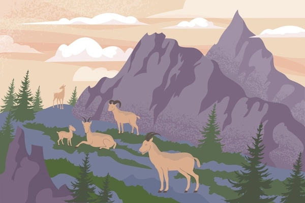 Wildlife mountain flat composition with outdoor highland scenery and group of goats in front of cliffs vector illustration