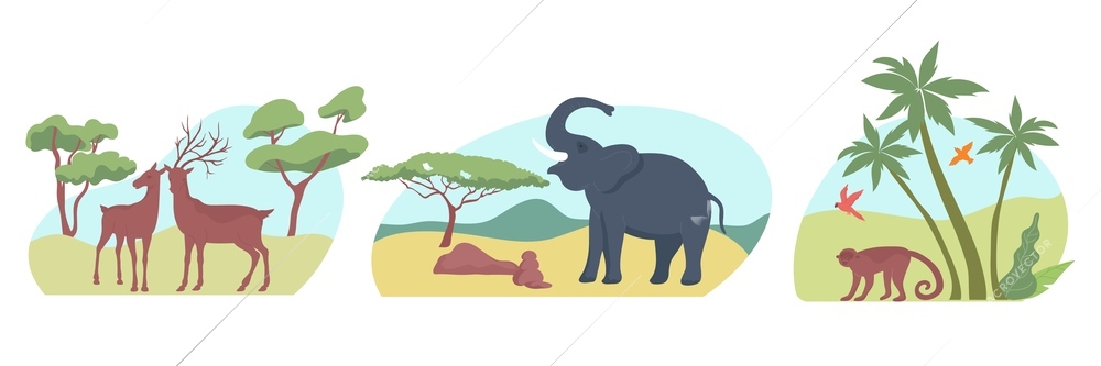 Wildlife set of three flat compositions with exotic animals and birds in wild landscapes with trees vector illustration