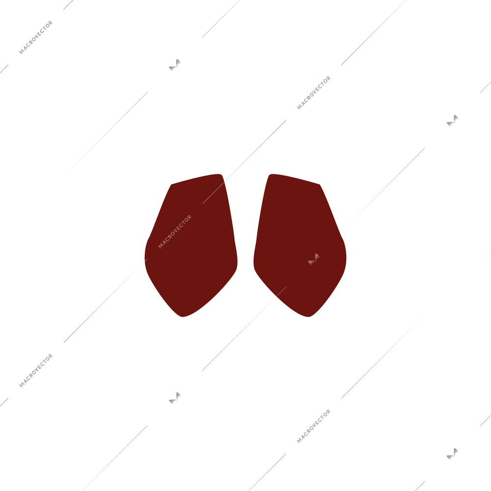 Pair of female red shoes front view flat isolated vector illustration