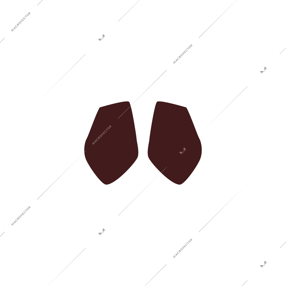 Flat pair of brown female office shoes on white background isolated vector illustration