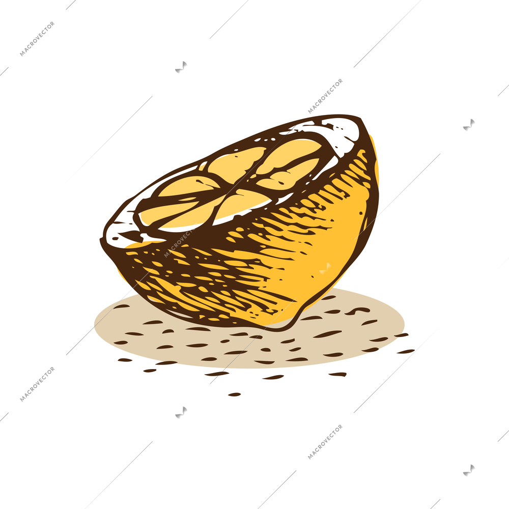 Doodle color half of lemon vector illustration