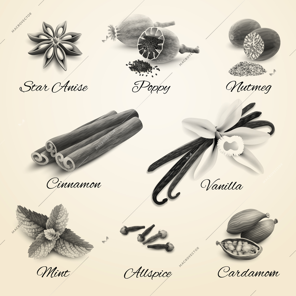 Confectionery spices decorative elements black and white isolated vector illustration