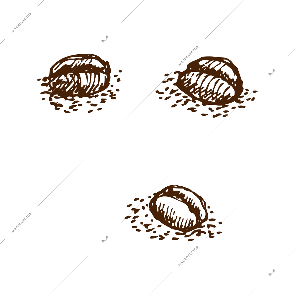 Three doodle coffee beans on white background isolated vector illustration