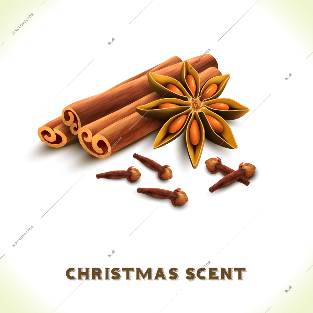 Christmas scent cinnamon anise cloves spices set isolated on white background vector illustration