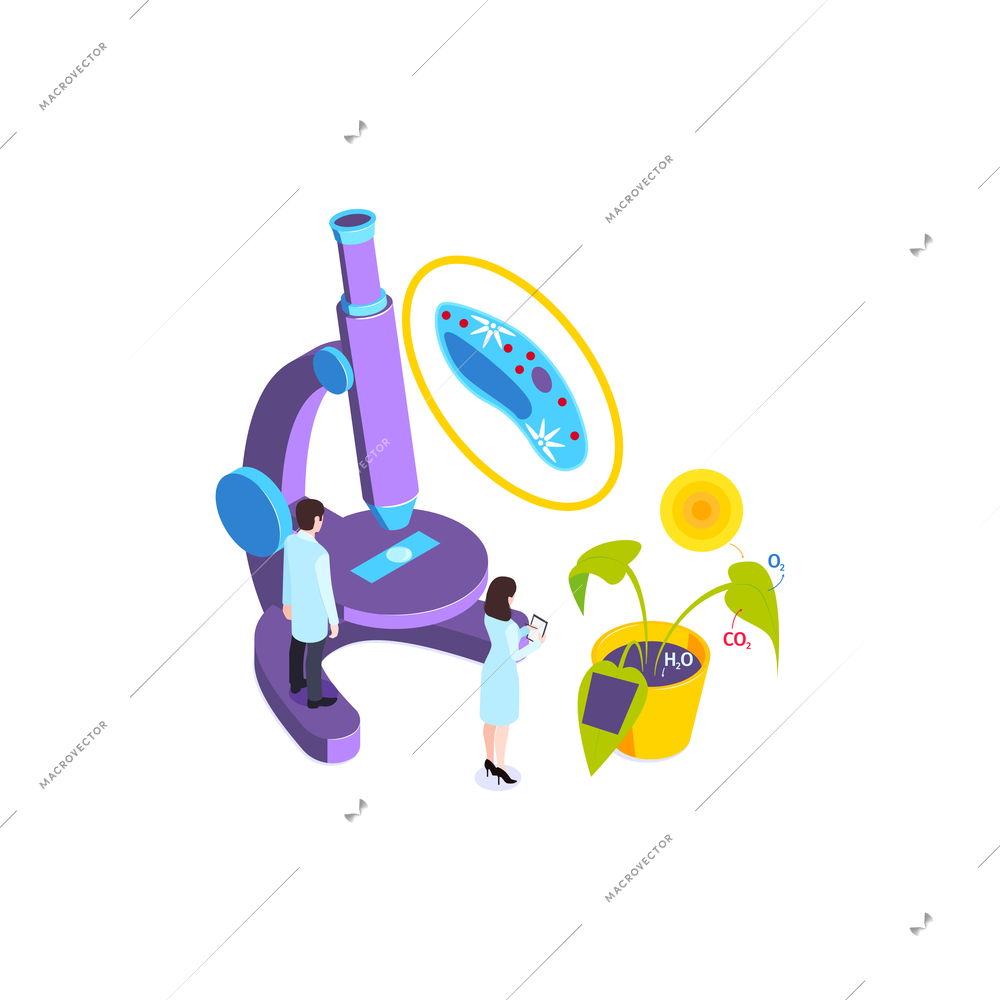 School subjects isometric composition with image of plant under microscope with human characters vector illustration