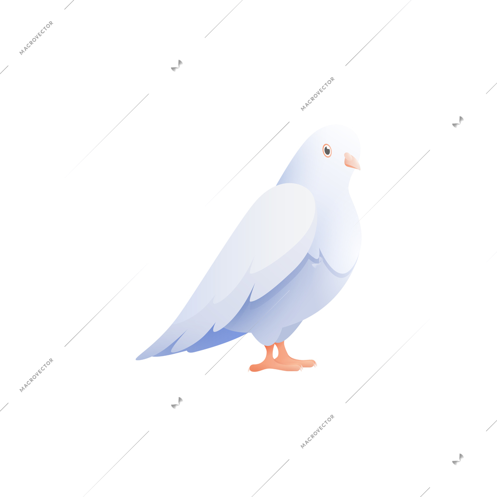 White pigeon dove composition with isolated flat image of bird with wings vector illustration