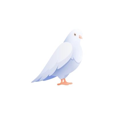 White pigeon dove composition with isolated flat image of bird with wings vector illustration